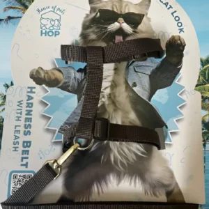 Cat Harness Nylon Strap Collar With Leash – Black