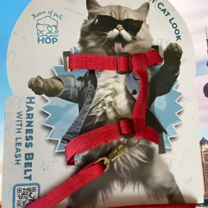 Cat Harness Nylon Strap Collar With Leash – Red