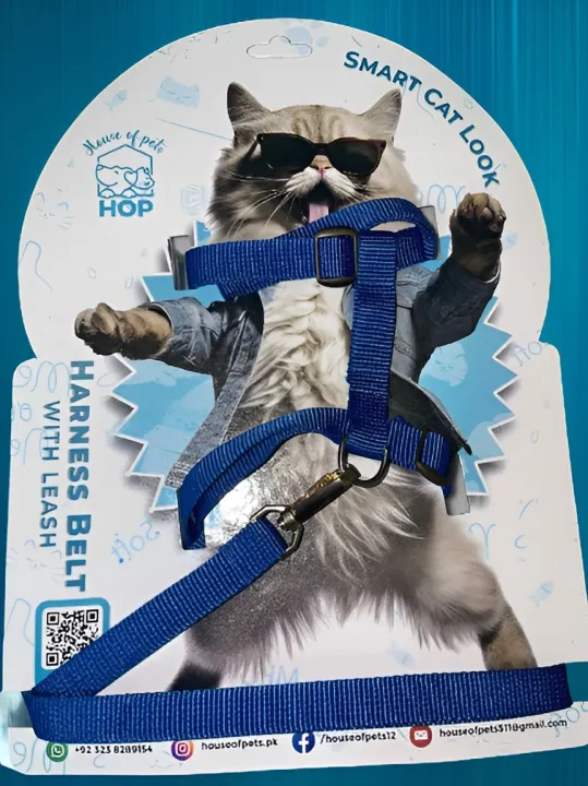 ced9222aa147a1a4d3570f92d434615b.jpg_720x720q80